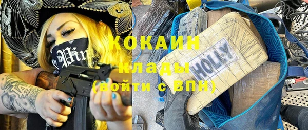 стаф Вяземский