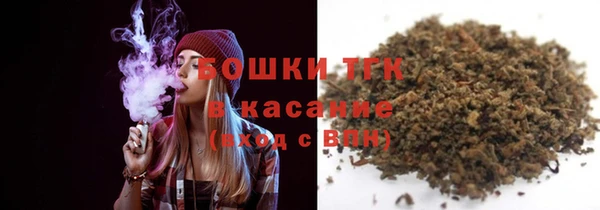 стаф Вяземский