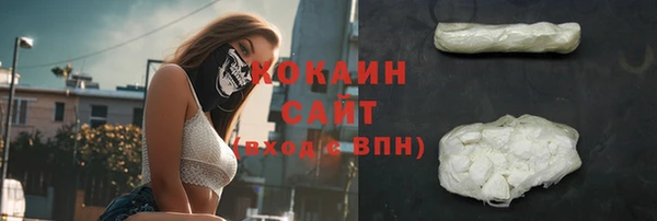 стаф Вяземский