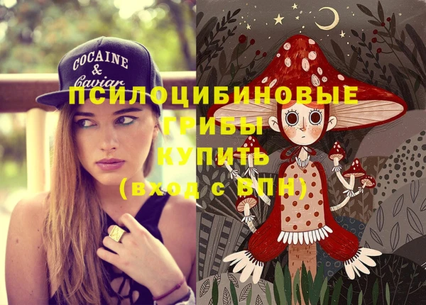 твердый Вязьма