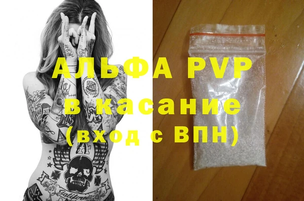 стаф Вяземский