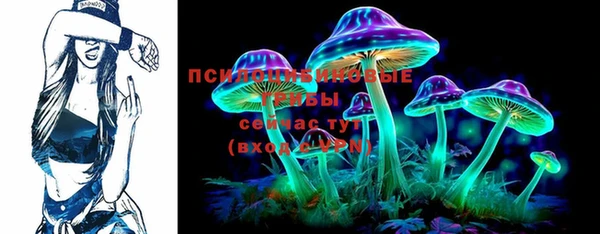 стаф Вяземский