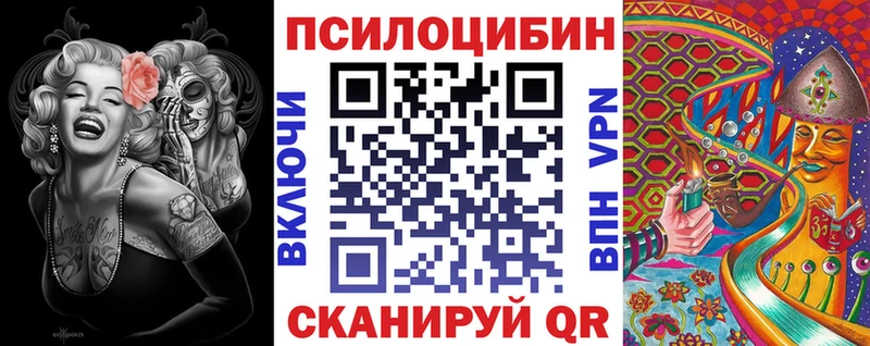 Галлюциногенные грибы Psilocybine cubensis Новочебоксарск