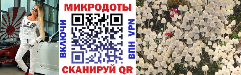 Псилоцибиновые грибы GOLDEN TEACHER  Новочебоксарск 