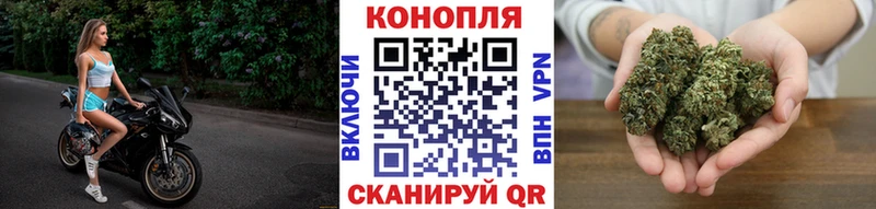 Марихуана план Новочебоксарск